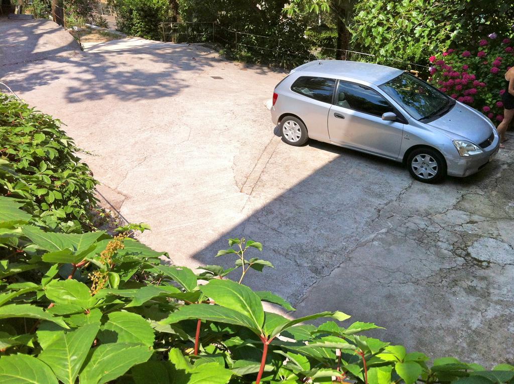 Apartament Rose *